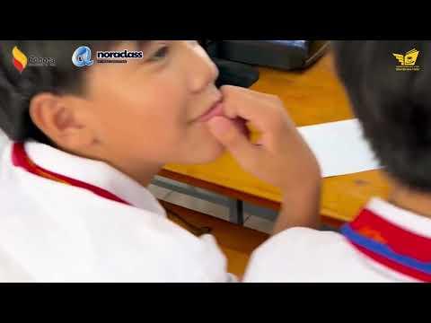 Video 4